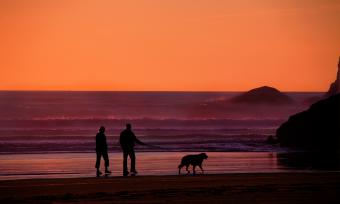 Grandparents walking on beach 