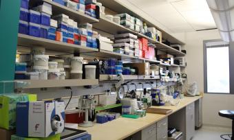 Rao Lab Research Bench