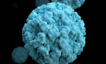 norovirus