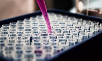 Image of pipette and test tubes