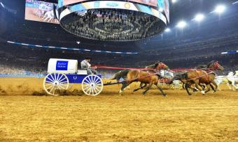 Houston Rodeo
