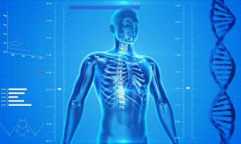 Skeleton and genetic testing