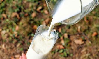 Photo of milk being poured from a glass pitcher to a glass cup.