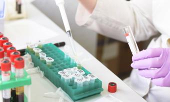 Photo of hands in purple gloves using a pipette in a lab sorting liquid samples.