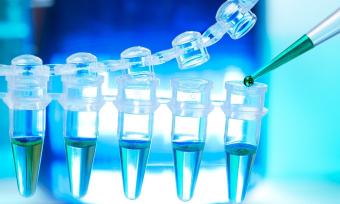 Photo of test tubes with blue liquid to represent basic science work