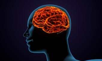 WOMENS PSYCH HEALTH OBGYN