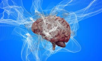 Image of a brain surrounded by a cloud of smoke to give the illusion of brain fog or abnormal brain function.