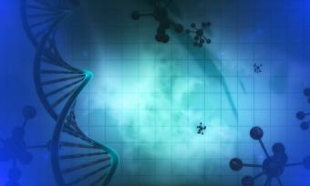 DNA double helix