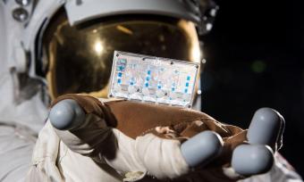 Tissue samples in space