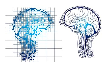 I drawing of a dot matrix-like brain next to a mirror image of an anatomical brain to represent AI brain research.