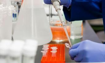 A photo of gloved hands working in a lab.