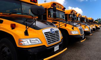 School buses lined up. 