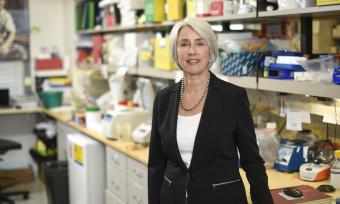 Dr. Margaret Goodell named to the National Academy of Sciences