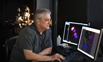 Dr. Micahel Mancini working in his lab
