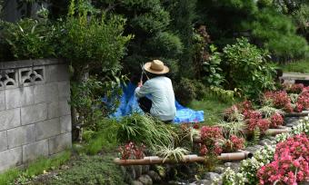 Person kneeling in middle of garden