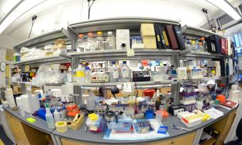General Research 2