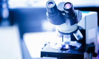 Two independent mechanisms are involved in tuberous sclerosis