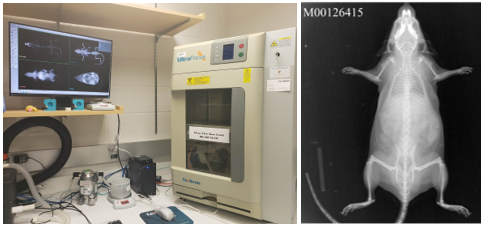 Faxitron (X-Ray for anatomic imaging, DEXA for Body Composition/BMD)