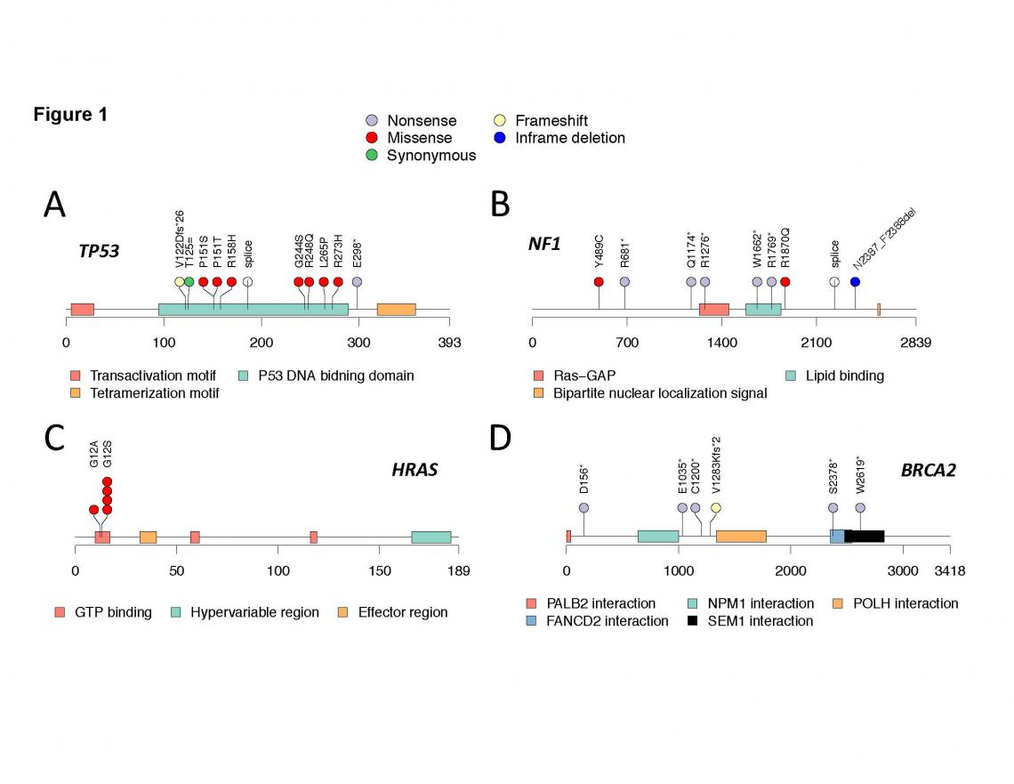 Genetics of Embryonal and Alveolar Rhabdomyosarcoma Study