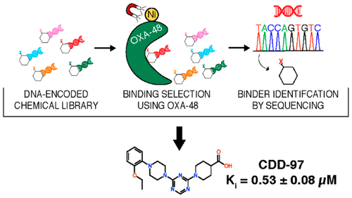 Palzkill Drug Discovery 1