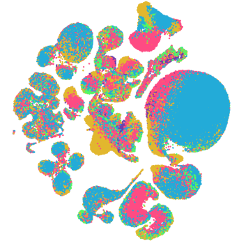 Retina Cells