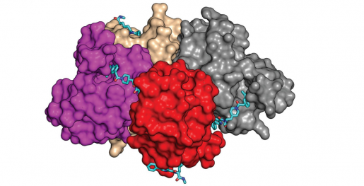 3-D image of bd1 inhibitors in bd1 domains PNAS