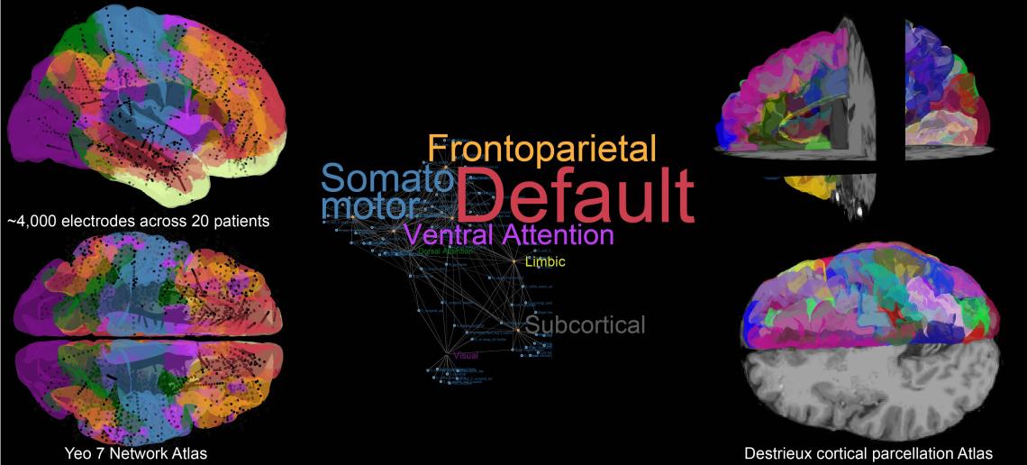 Brain and Cortical Parcellation Visualization