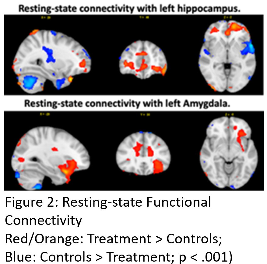Dr. Dana DeMaster project