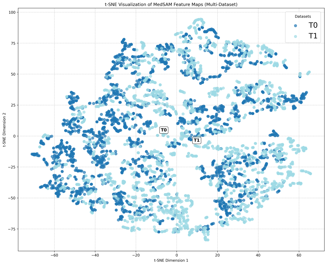 Embeddings on segmentation network