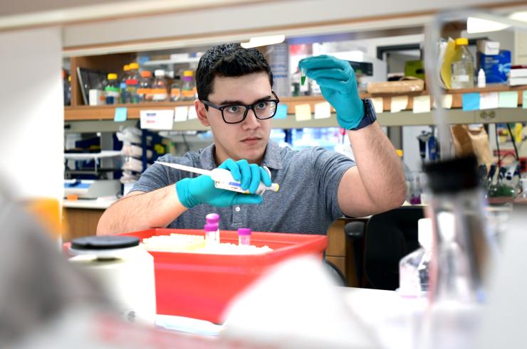 Kimberley Tolias Lab Member working at bench