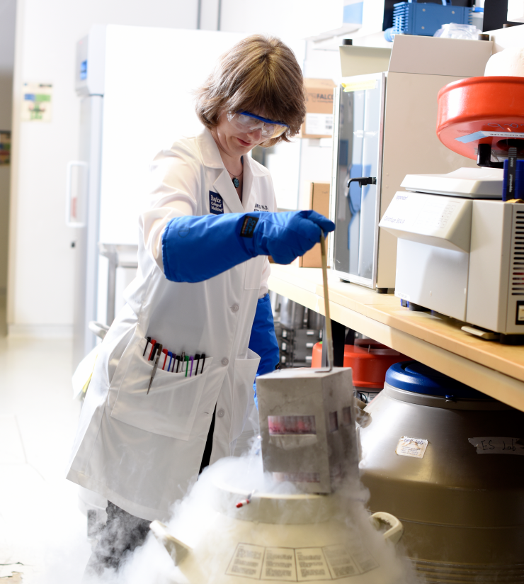 Laure Maneix, Ph.D.