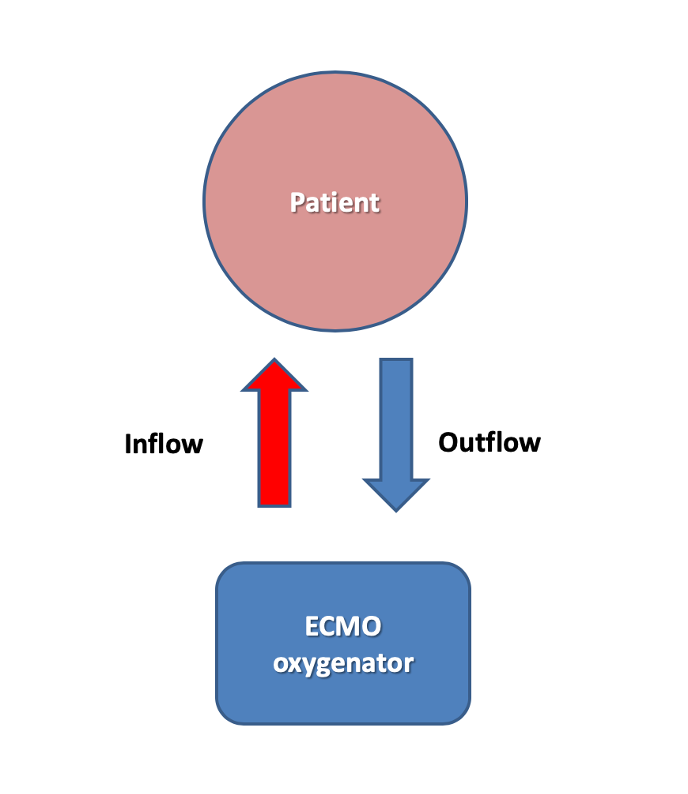 ECMO flow chart