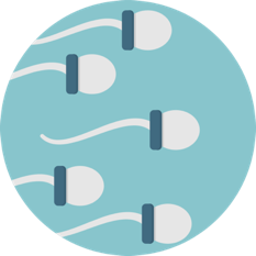 Spermicides