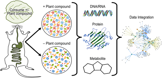 Experimental Outline for Microbiome Work