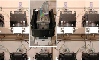 Energy Expenditure, Food Intake, Activity, Body Temperature