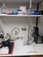 Cardiac cell isolation