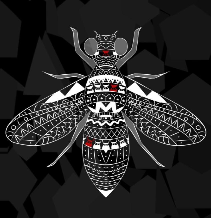 A black and white drawing of a fruit fly with sand dials at different times to indicate how cells throughout the body age at different rates. 