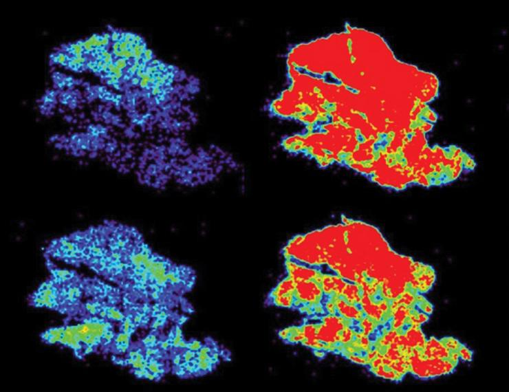 Advanced Data Analytics and Statistical Methods 