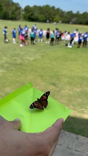 hand holding a piece of paper with a butterfly on it