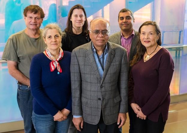 Peter Nordlander (from left), Oara Neumann, Melissa Suter, Bhagavatula Moorthy, Ankit Patel and Naomi Halas (Photo by Jeff Fitlow/Rice University)