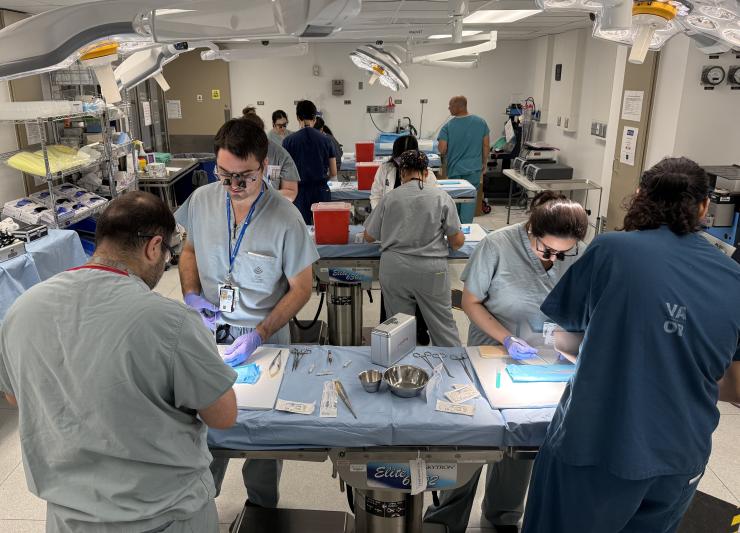 vascular anastomosis simulation