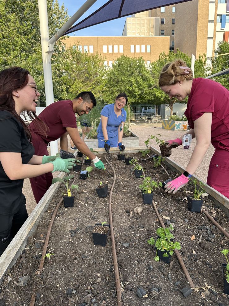 CHRISTUS community garden