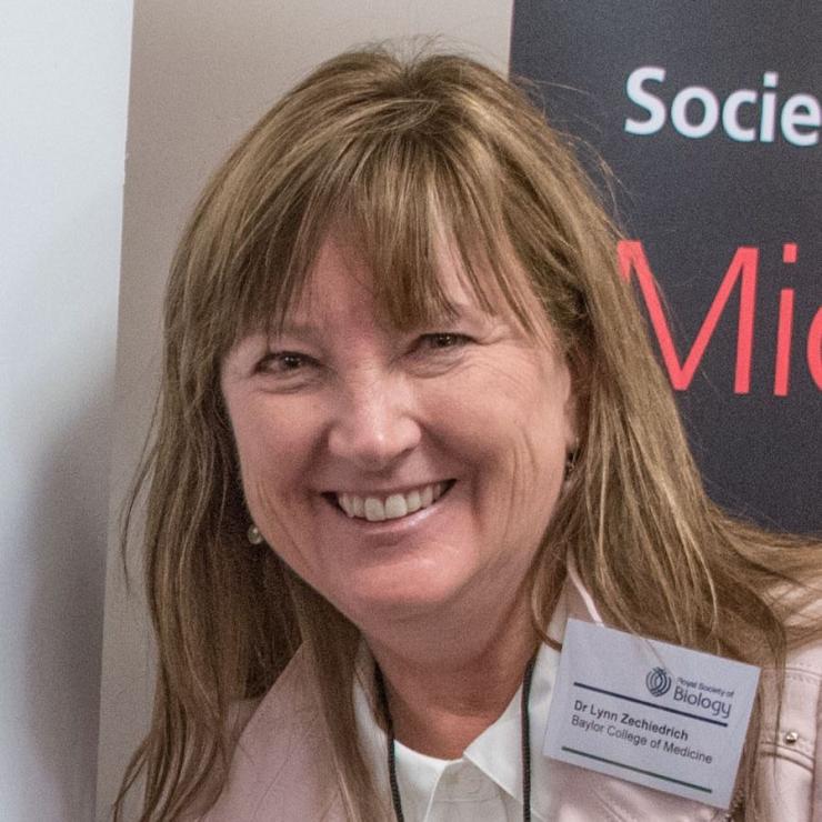 Dr. Lynn Zechiedrich, the Kyle and Josephine Morrow Chair in Molecular Virology and Microbiology at Baylor College of Medicine