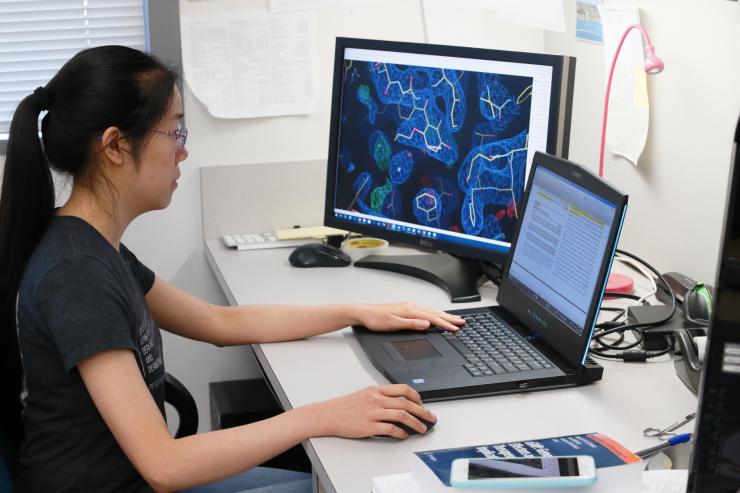 Student Liying Qin working in Dr. Choel Kim's structural biology lab.