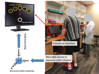 An innovative tool to determine physical frailty phenotypes