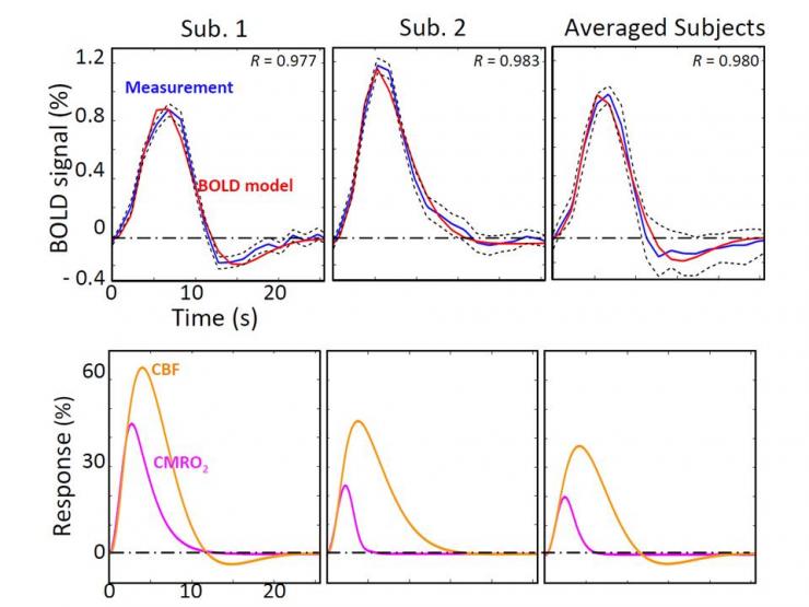 BOLD HRFs and predicted corresponding CBF and CMRO2