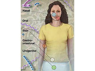 Multiple sites within each of these five body regions were sampled for the Human Microbiome Project.