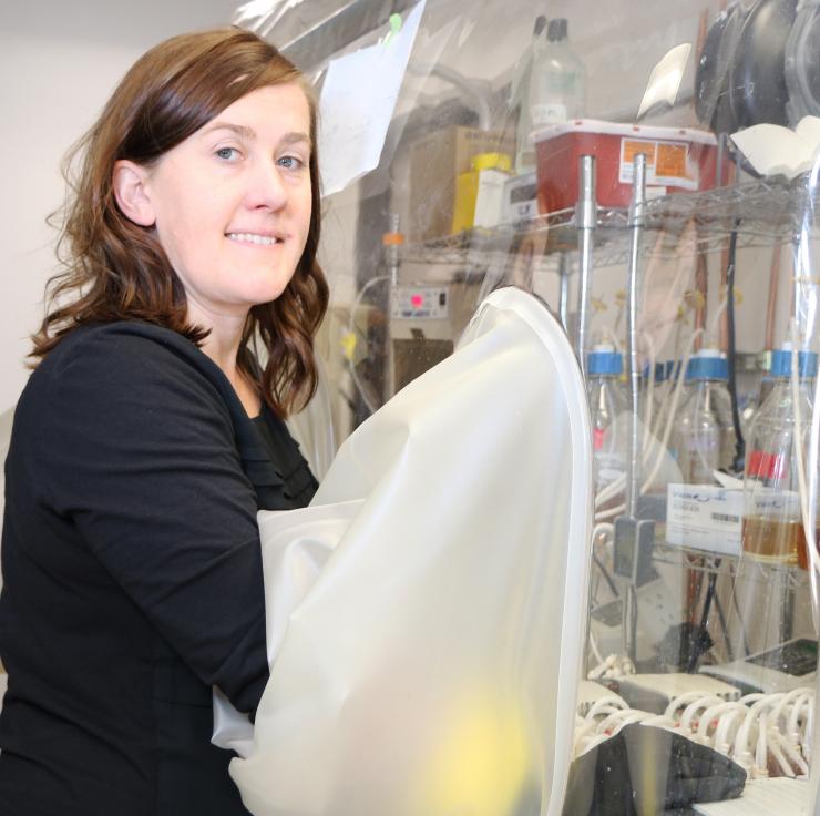 Dr. Jennifer Auchtung, assistant professor of molecular virology and microbiology at Baylor College of Medicine.