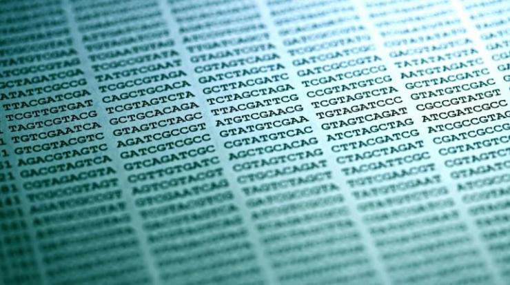 Whole Genome Sequencing