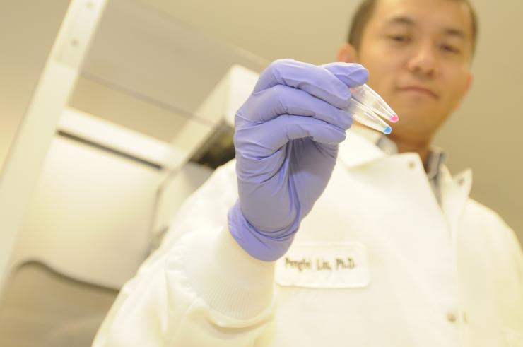 Dr. Pengfei Liu holding human DNA treated with fluorescent dyes prepared for copy number variant analysis.